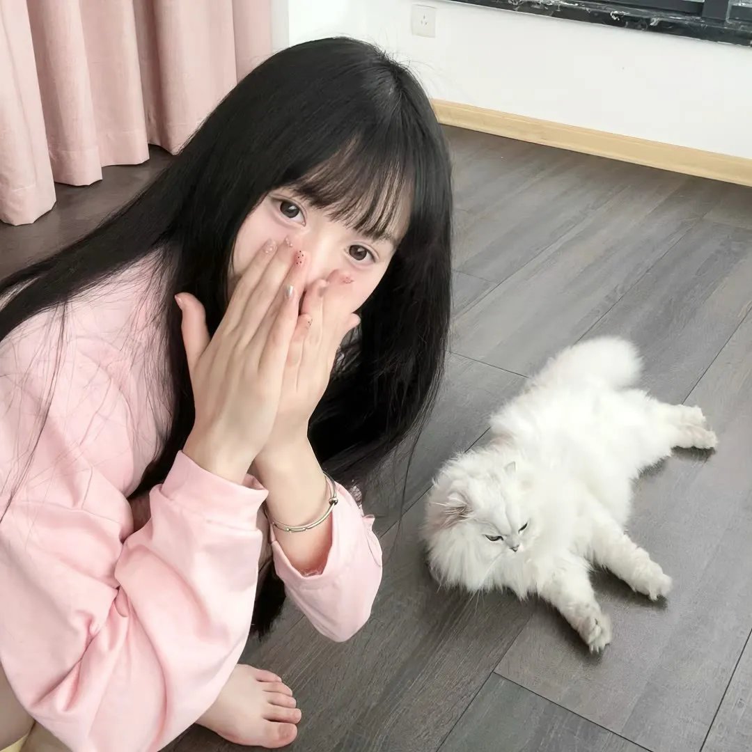 菊花香